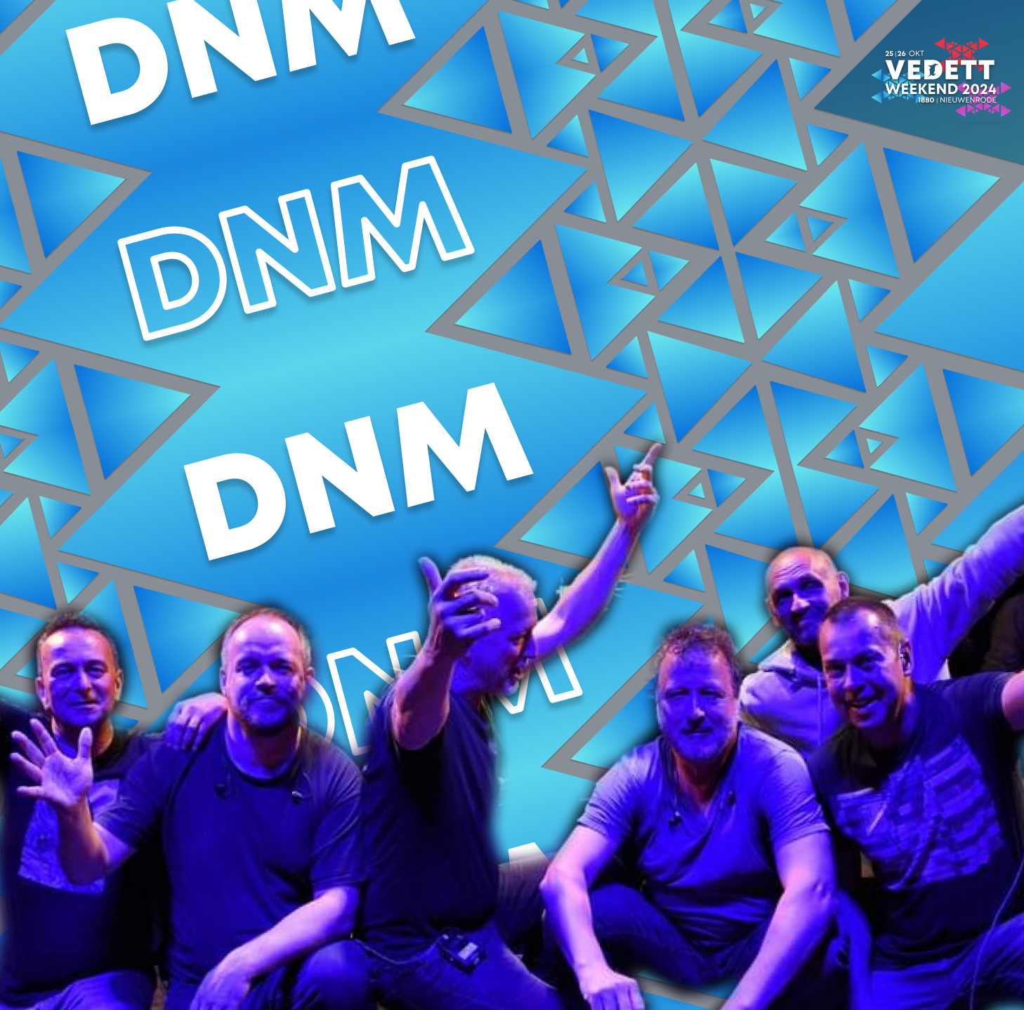 Picture of DNM